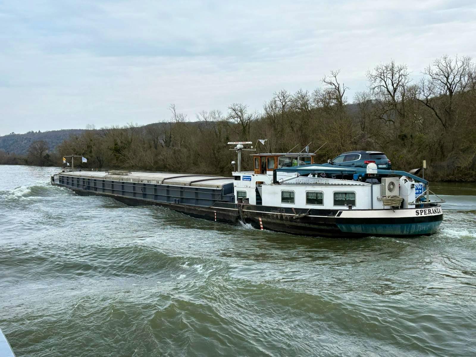 Speranza — thumbnail 2